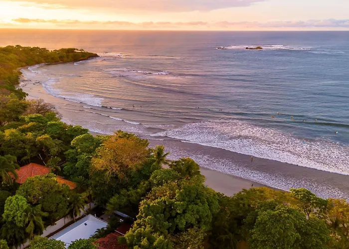 Coast Beachfront